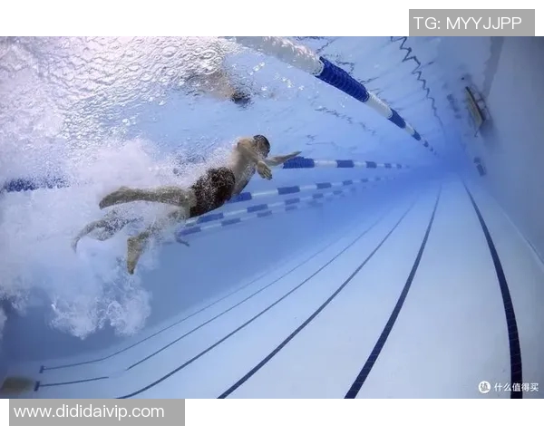 夏季泳池必备用品推荐，提升游泳体验的精选装备与安全保障